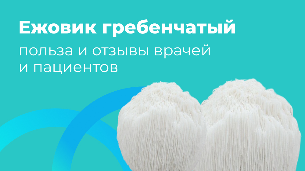 Ежовик гребенчатый — польза и отзывы врачей и пациентов | MYCOFARM FUNGI